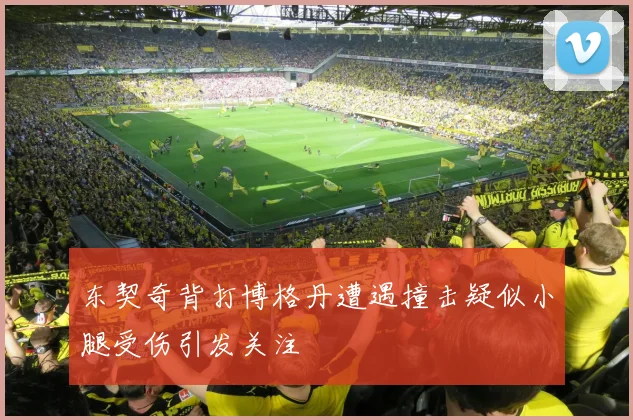 东契奇背打博格丹遭遇撞击疑似小腿受伤引发关注