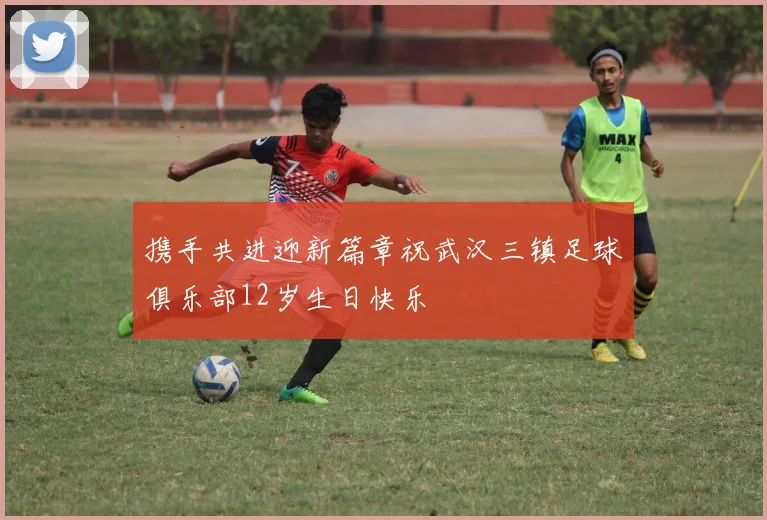 携手共进迎新篇章祝武汉三镇足球俱乐部12岁生日快乐