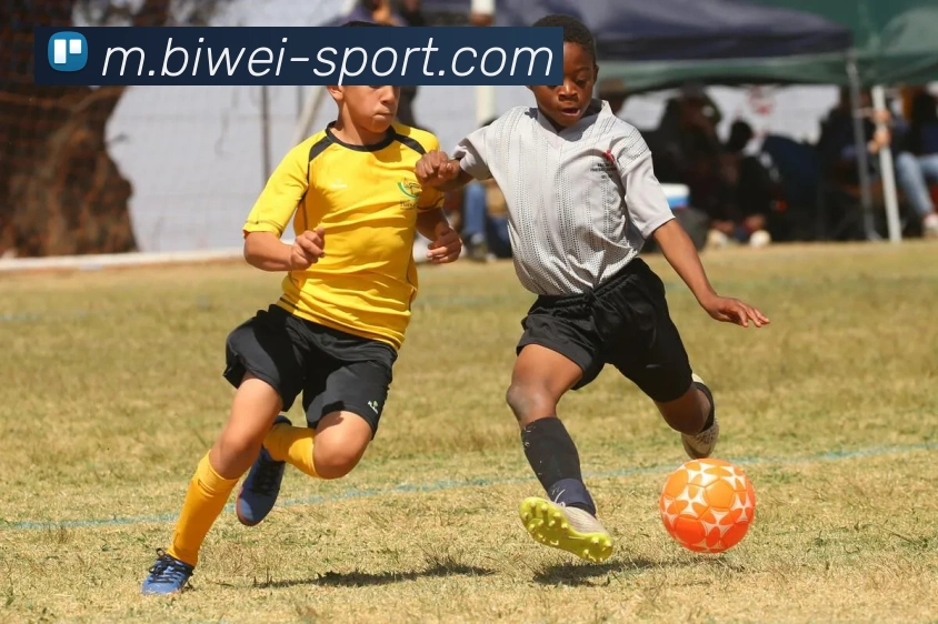 必威足球平台生态图